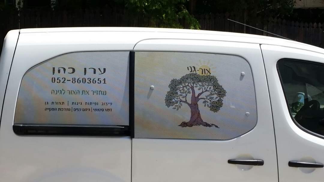 מיתוג אחורי מסחרית