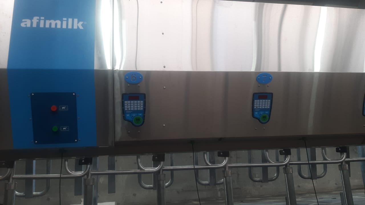 טפט חינוכי וצבעוני לגנים